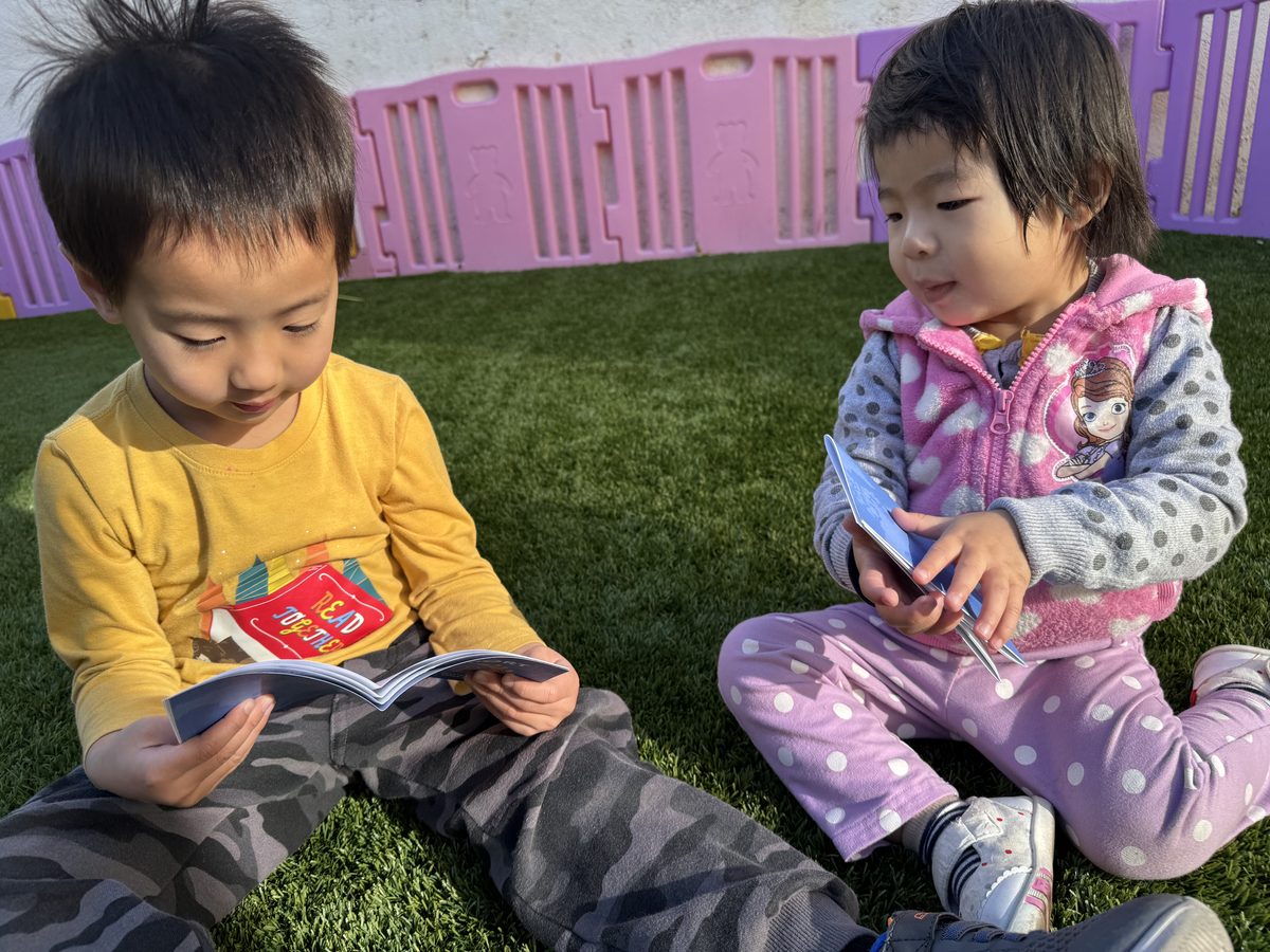 Children learning numbers and letters at Little Lion